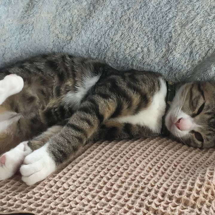 29e84a82 00e1 4883 99c9 2b1efd31c7e0 1662067732238