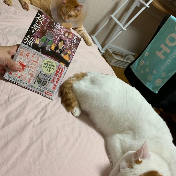 29e8c9db b925 49ed 804b cfc88079947b 1567257799347