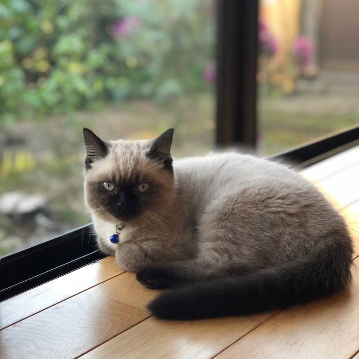 29e913e5 61f5 4918 b321 4fe328a8be96 1589358016509