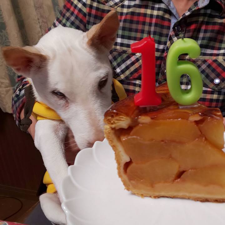 29e91f99 b8d9 4251 9d39 0f2bafaaad66 1539866135854