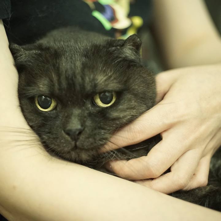 29e924d7 09cb 4d1b 9072 1e2ed3ab1494 1595498850743