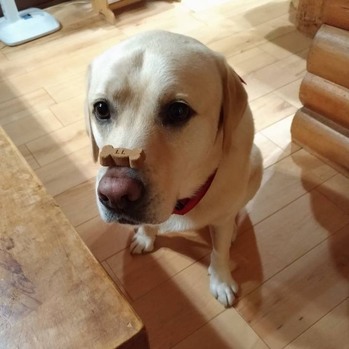 29e92e86 928a 466c 9ac8 58cf464b78f8 1600858896364