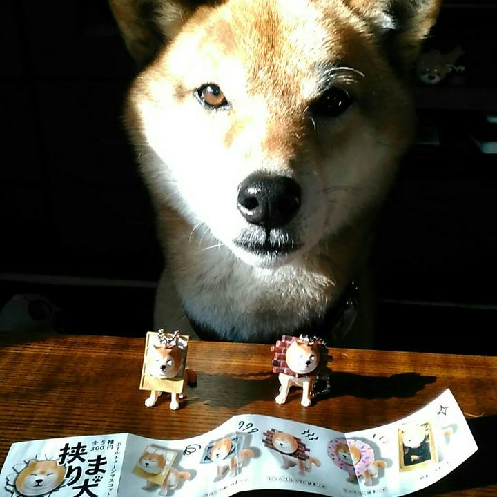 29e934bc 536f 4d2e 9eb6 69fb6b6ed61c 1547959872475