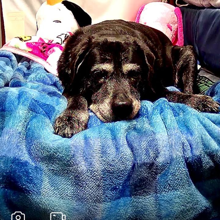 29e989c0 bce3 4578 99eb a62e5a5cbcff 1741863891807