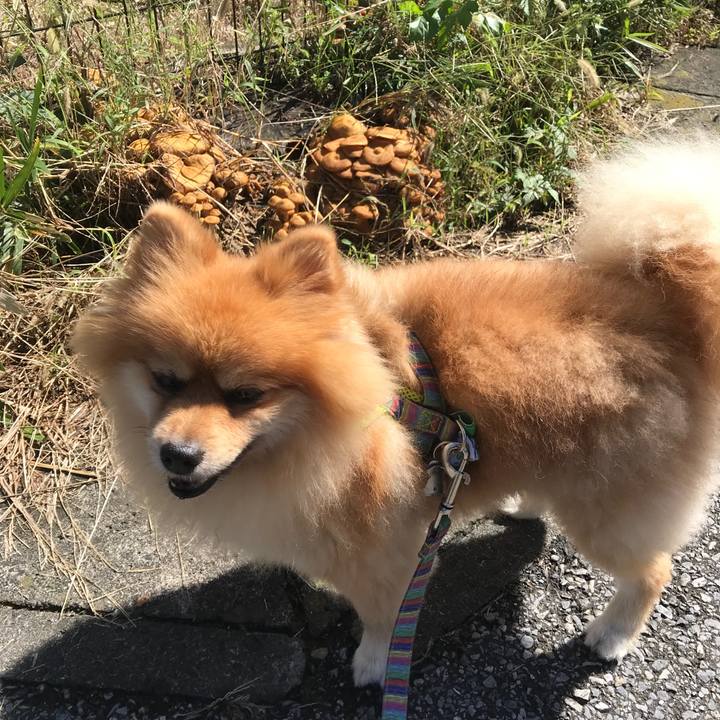 29e9a8d0 e85f 415e 852f 446d9ce2cfd9 1538098827942