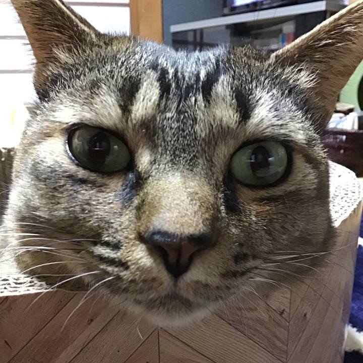 29e9b9f0 2a09 4ad5 9615 52bad6533110 1708072586376