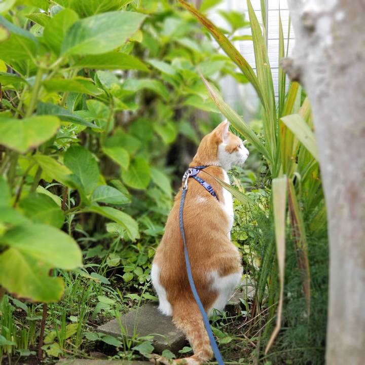 29e9bf9e 904a 48e3 a015 b1c535d2468b 1535891600007