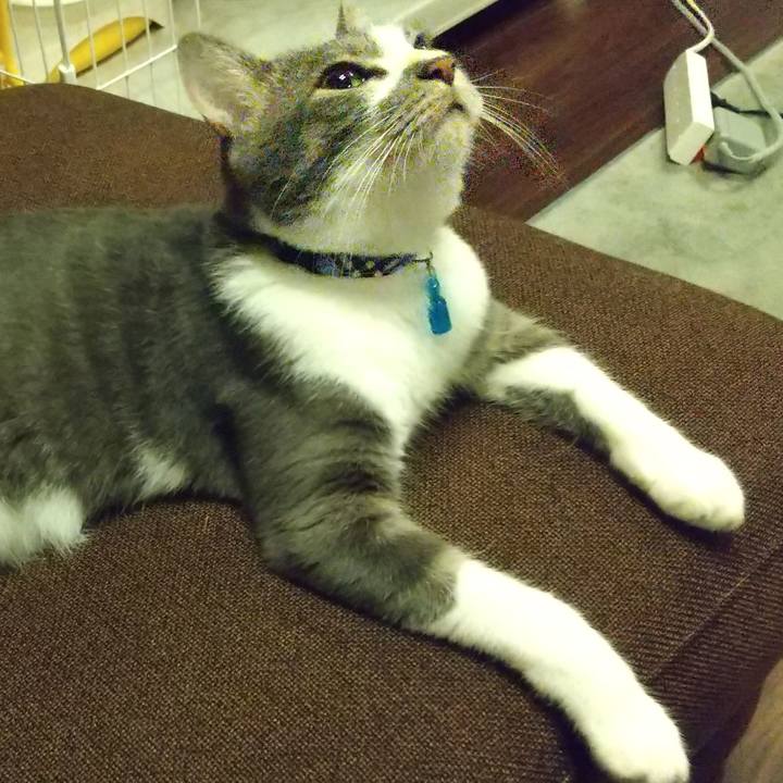 29e9d675 d95f 4357 a71d 49135c85de8b 1597764316634