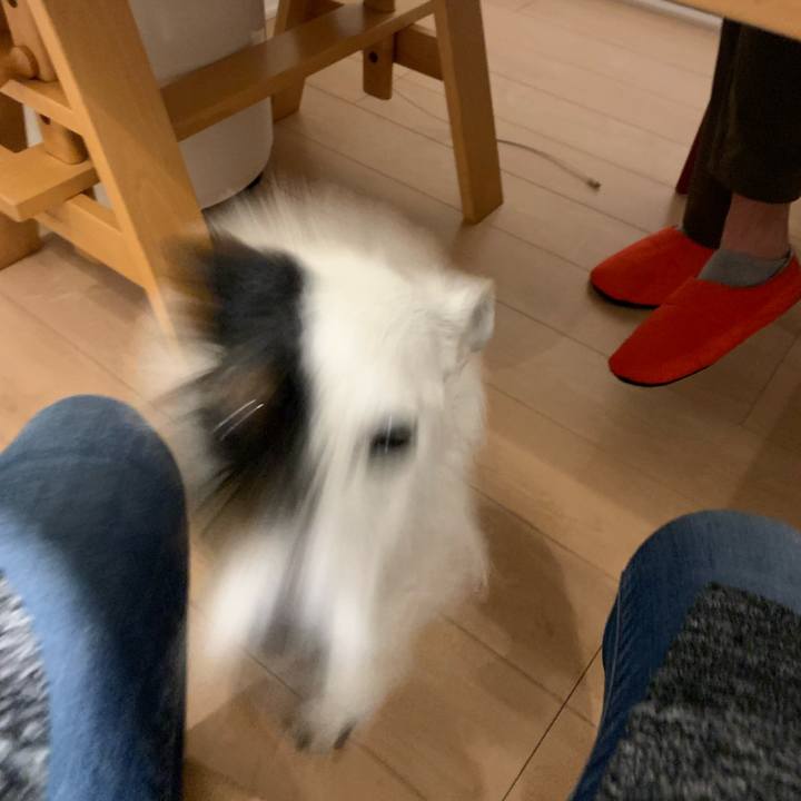 29ea1ad1 9bff 46ac 9889 f3a68608ff9b 1680863444713