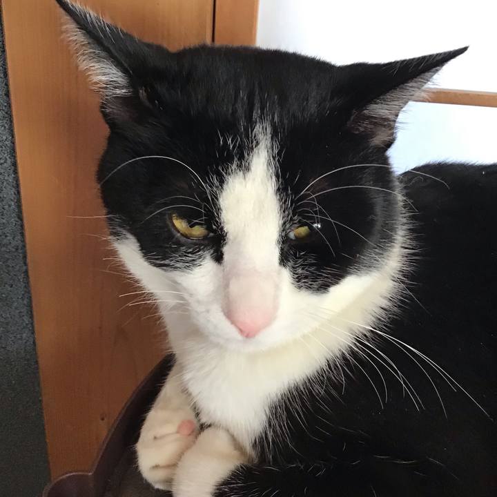 29ea251b 5771 4ca8 98f2 e9fcee78e962 1645587369622