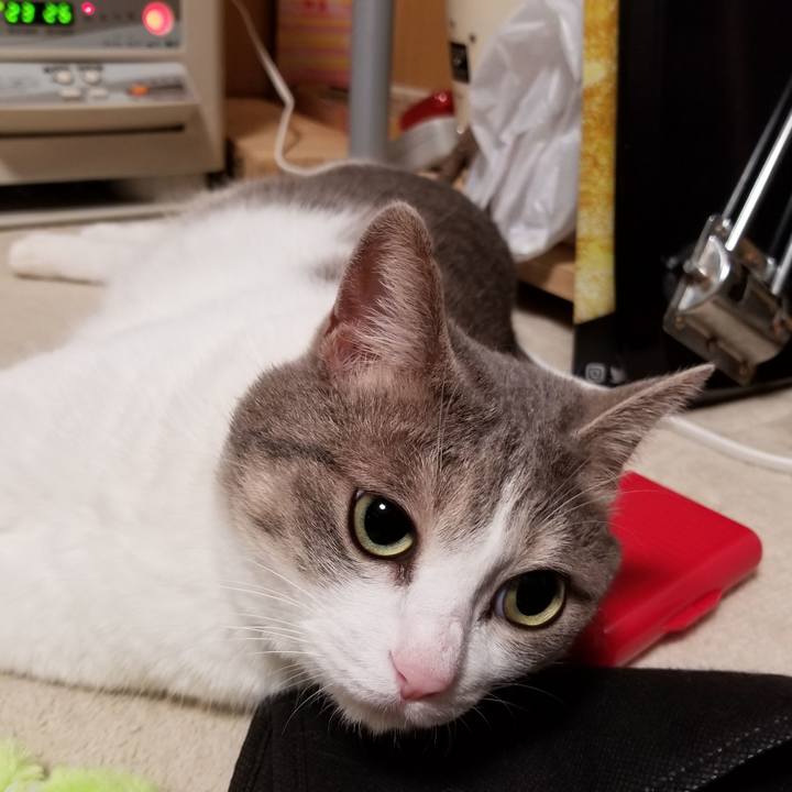 29ea4b77 4a5c 4bf4 a334 01e59c32e089 1537533230519