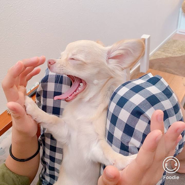 29ea7149 c8b6 497d a070 a25e76ebc5f6 1597541690483