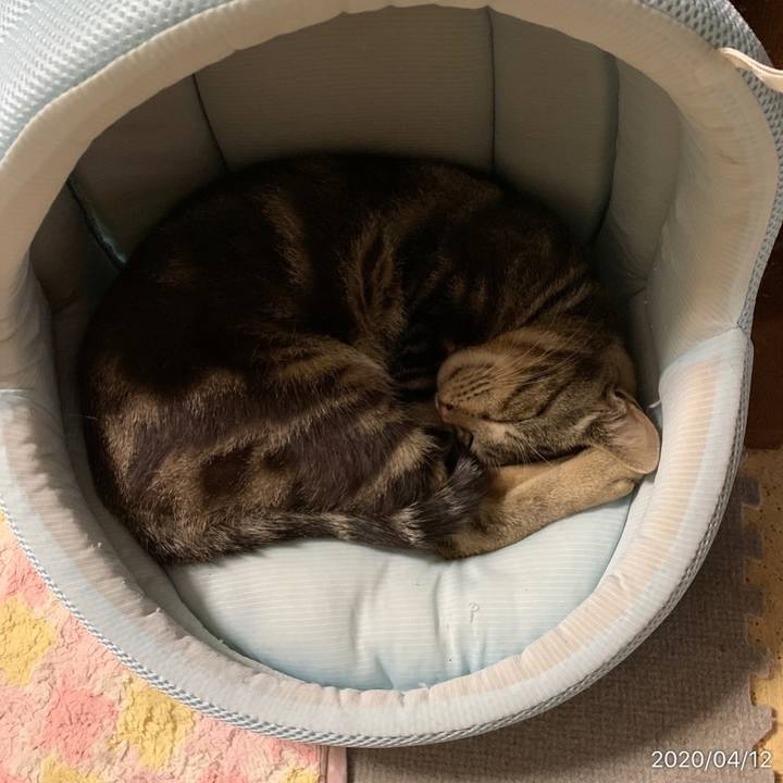 29eaa67d 2182 49f8 b463 82d5554256e8 1586652272411