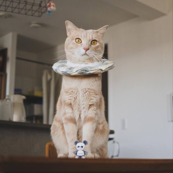 29eac0bb 40f7 44f9 bdb8 a2aa8761fcf8 1708742085915