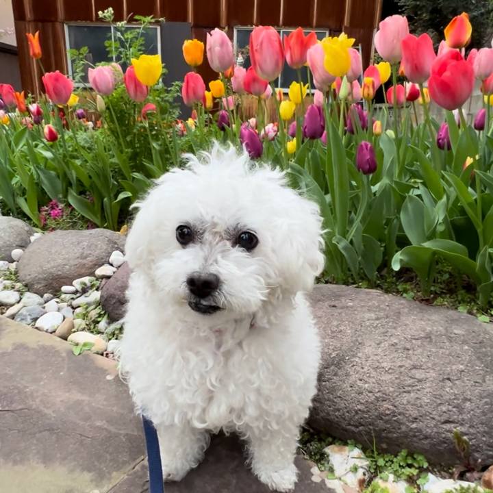 29eac12f d8dd 4e46 b28c f7818fde9b1a 1681468522775