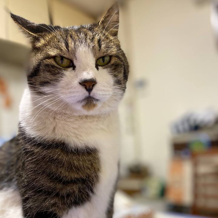 29eadaa2 3db3 4485 ac91 e10939fcbd08 1578217667911