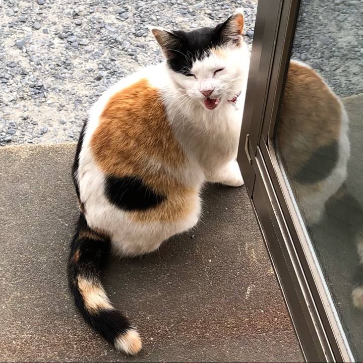 29eb4794 b7c9 4068 9818 ae481a44dab9 1712921262015