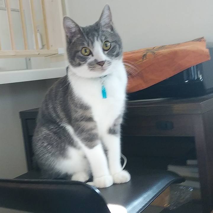 29eb6343 2ff4 4d7a af6e e63cf235aec6 1582244228003