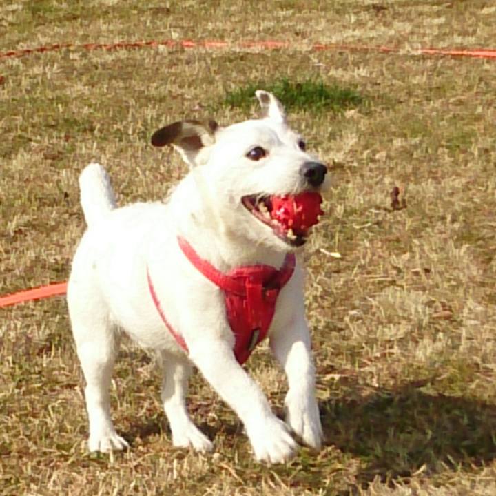 29eb8281 65bb 4947 b806 65285ee76d6e 1518303931055