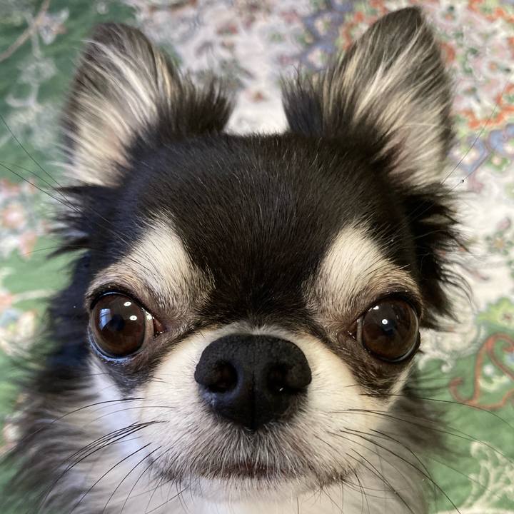 29eb8b29 c0ff 446b adb0 92752d29efa3 1655594124968