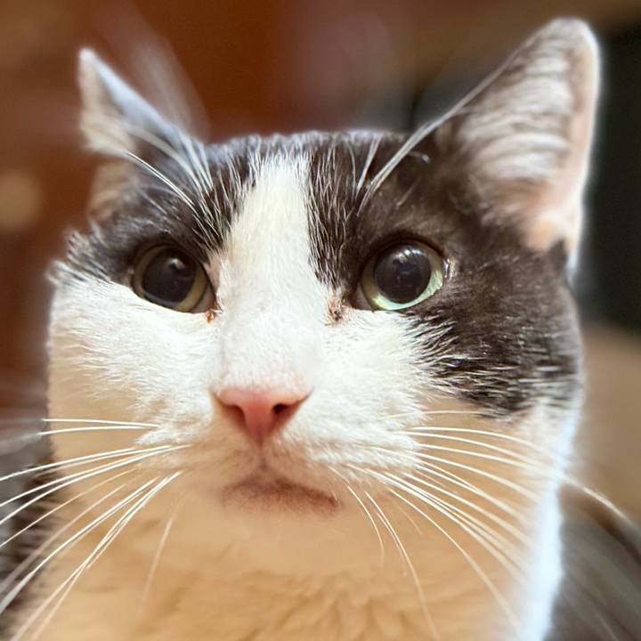 29eb8f1d 2394 4622 b9ce ac82743edc11 1765244411943