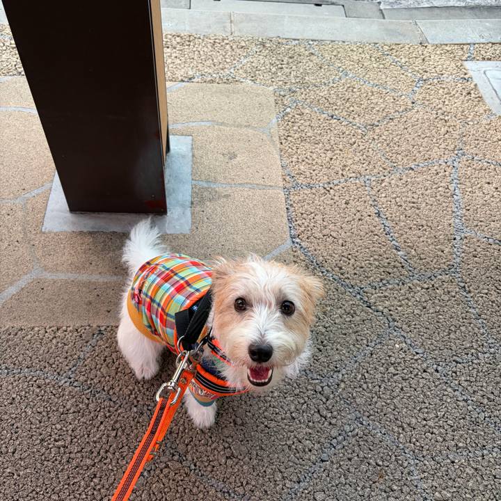 29eba381 9d6f 46ff 9558 2a997d9b3c14 1760691892524