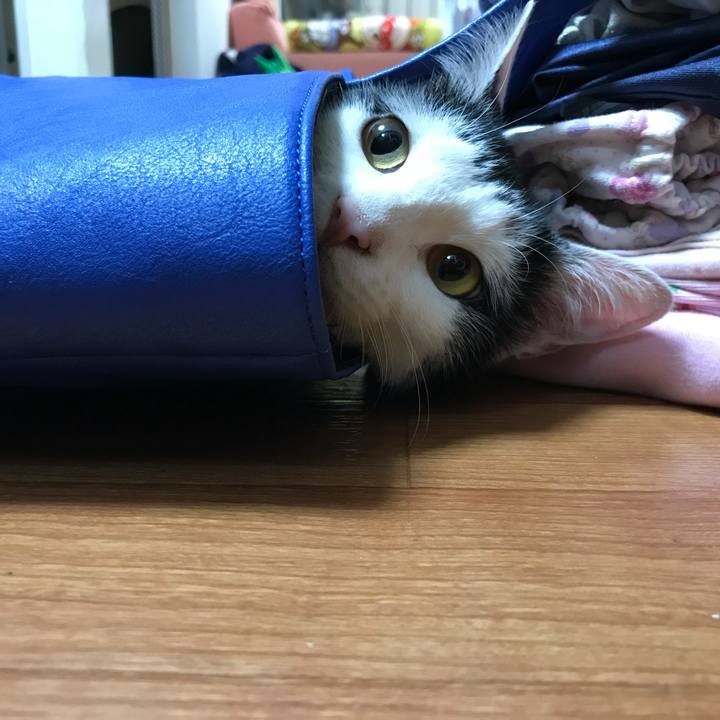 29eba536 965e 46ba bf0f d52be9cd3749 1524819921524