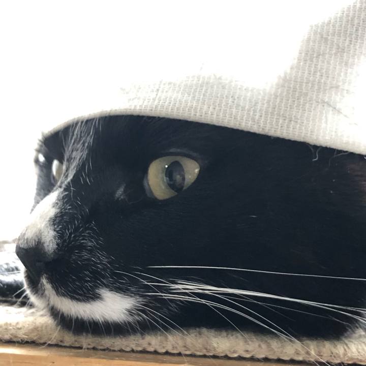 29ebd926 75b7 40d4 8915 333f6fc91476 1652569787856