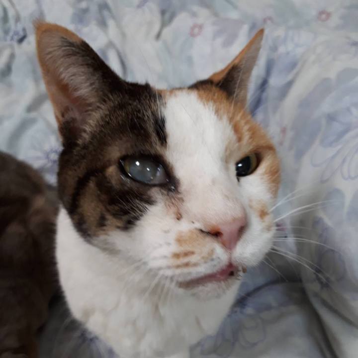 29ec0999 29a9 433b b58a d2dd2ec17e1f 1581731358777