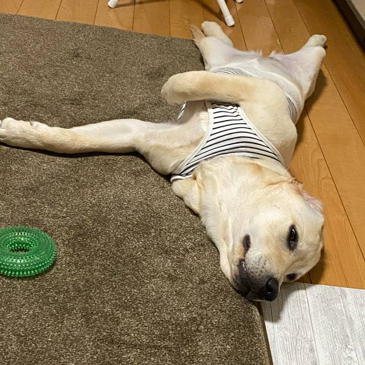 29ec31c8 4c44 45f6 bc7c 16fc5d102fb5 1619263146604