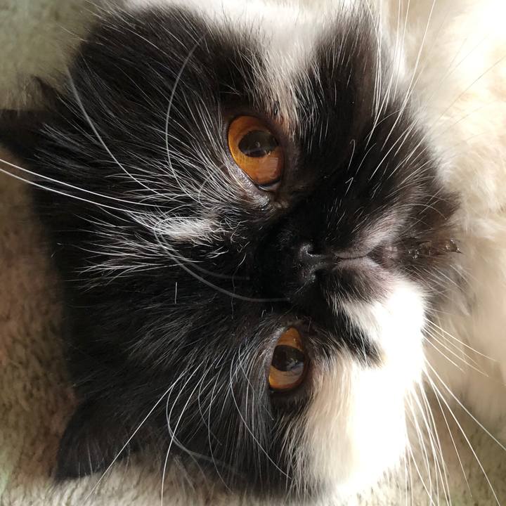 29ec3a25 210b 4bd0 ae4f 38e46d781b51 1602331210193