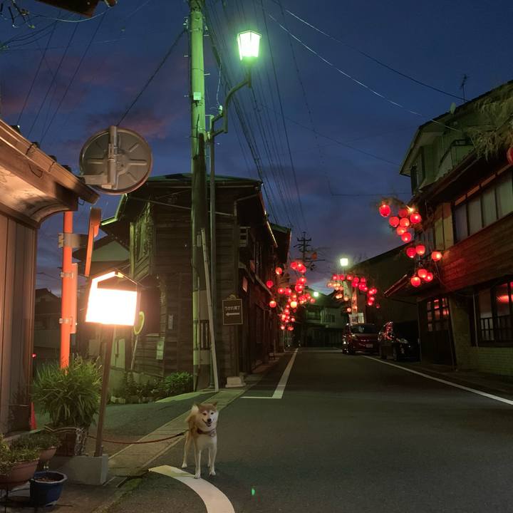 29ec3d65 e0ea 4d34 ae55 bcc69ae61dd7 1626435347753