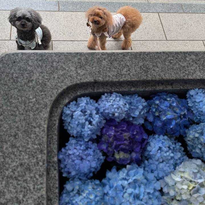 29ec5d1d 62bf 48b1 adaa 04bd45a9e1b8 1749250260497