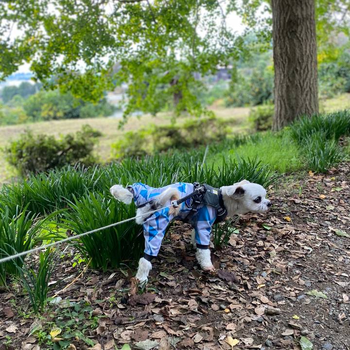 29ec6b10 ce40 4961 b478 a741ebb1aa9d 1604728117102