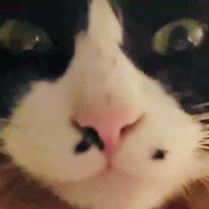 29ec6d06 c485 4d0f afb2 3b3d1668e3f6 1735033079306