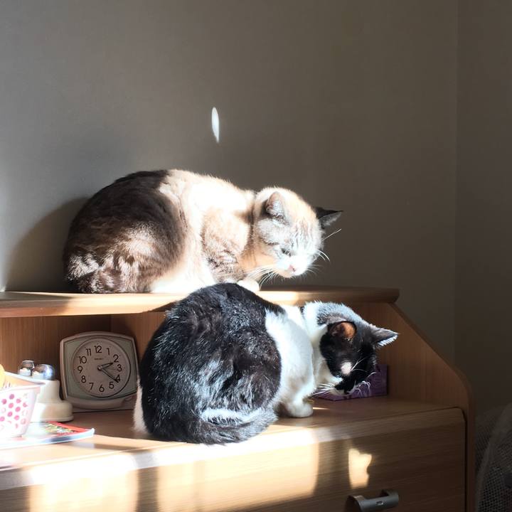 29ec92eb f1d3 4c31 83bf 11defe9b1faf 1515913548968