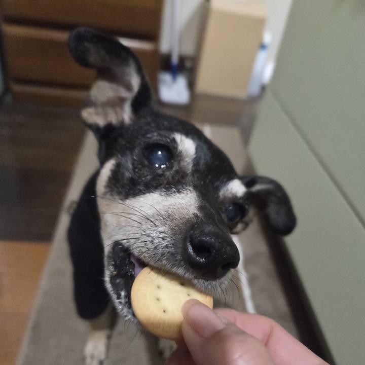 29ecaea5 2fe7 4a31 969d c9062dda4a20 1767124082658