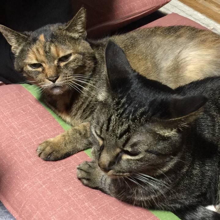 29ecbc1c 05ad 476a bba4 9581c6b3a106 1524221241791