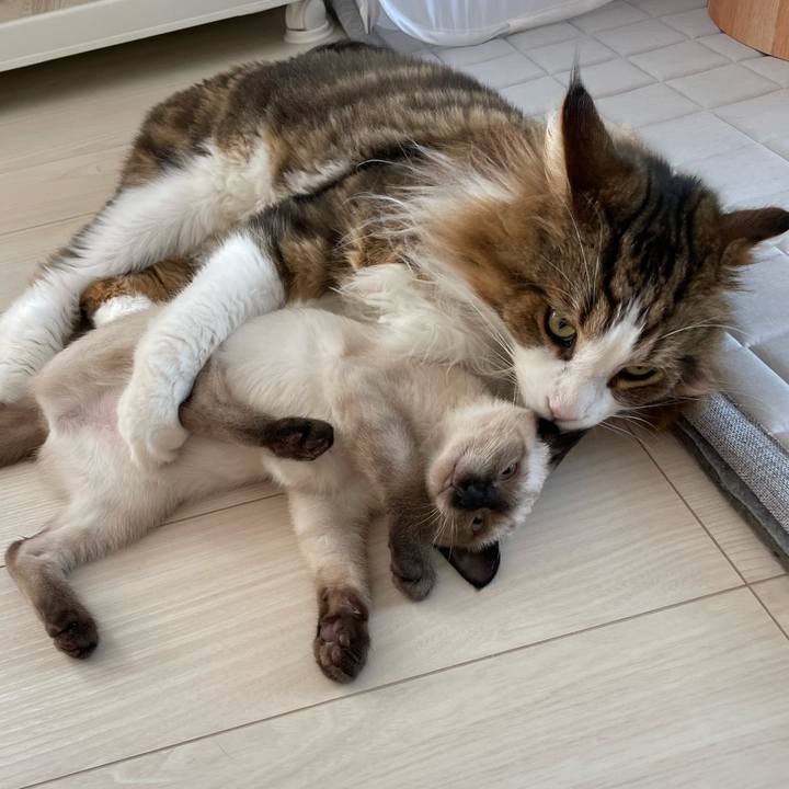 29ecc6b3 4b3e 49ff acad 39f09438963c 1691804253175