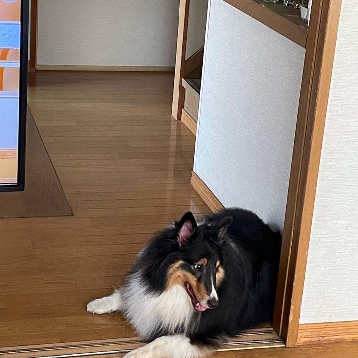 29ecf399 b56d 4164 958f 1d0c0eb25155 1626645293614