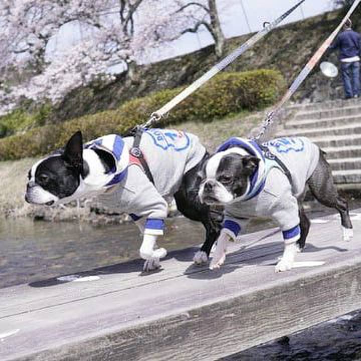 29ed427a 2d3a 405d 8687 ff759591d192 1555069843395