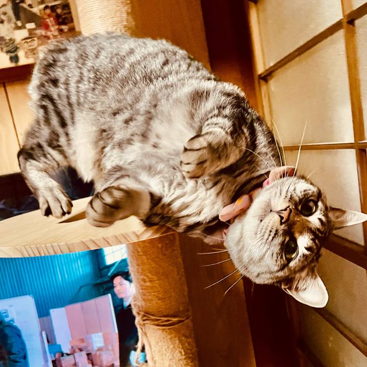 29ed70a7 e8a4 417a b148 5570ed6ce018 1765348362446