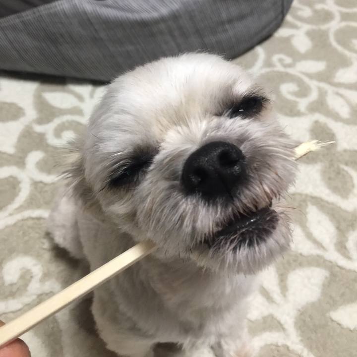 29ed70ed 9efd 4fbc a096 5f0b72f7ada1 1544700210220