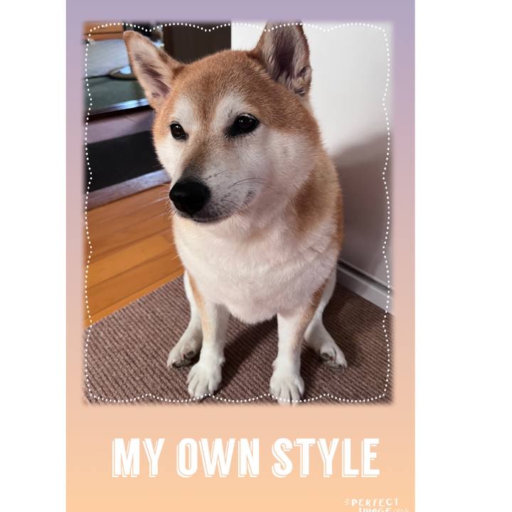 29edab6f 1aa4 4366 a10a 4692e247a08a 1694519071761