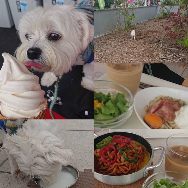 29edabee f6da 435f b2a4 66d306d6d528 1624777395042