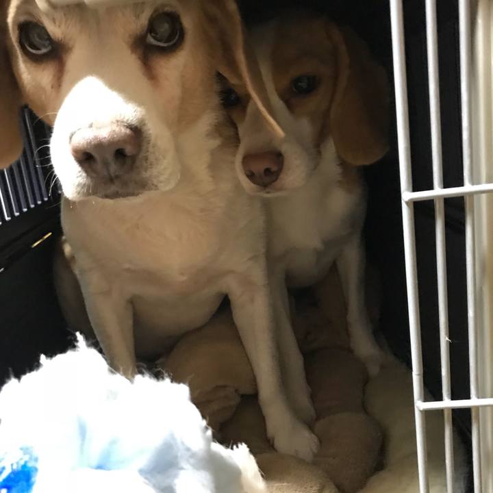 29edb789 5f90 4580 a7d9 1eb54a3acb09 1536748109333