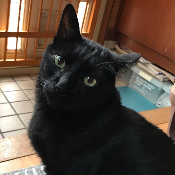 29edf3ab 16fe 49f4 8d1e 14251f2011b3 1512952859654