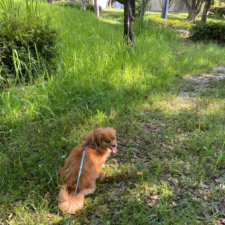 29edf805 e906 4829 8696 990835ba426c 1597015593013