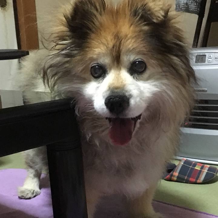 29ee4676 6cfa 4d7a 8840 6adc90849525 1596011492542