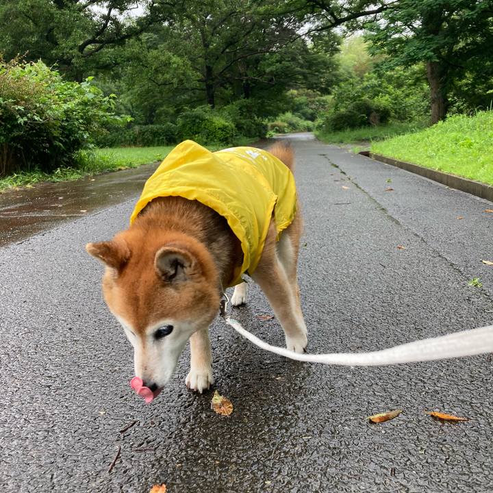 29eee493 c345 40a0 af3b 32a610ebfcf9 1749629537584